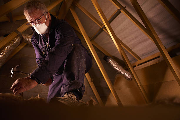 Best Wall Insulation Contractor  in Chelsea Cove, NY